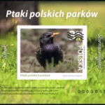 Ptaki polskich parków