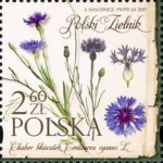 Polski Zielnik