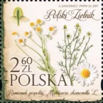 Polski Zielnik