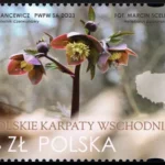 Polskie Karpaty Wschodnie