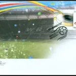 UEFA EURO 2012