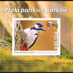 Ptaki polskich parków