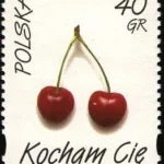 Kocham Cię