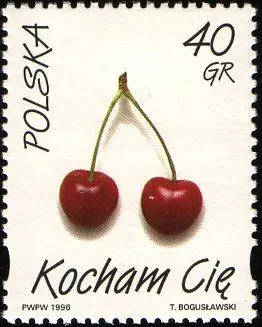 Kocham Cię