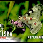 Piękno Polski