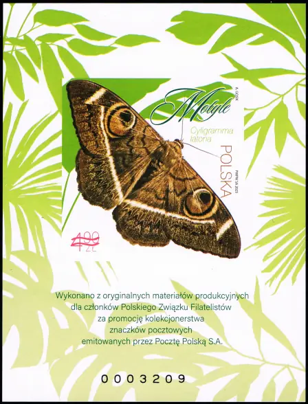 Motyle