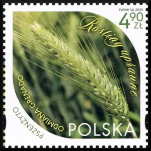 Rośliny uprawne