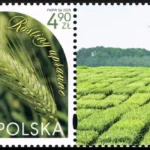 Rośliny uprawne