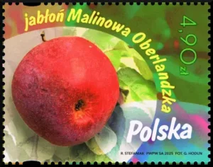 Owoce naszych sadów