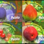 Owoce naszych sadów