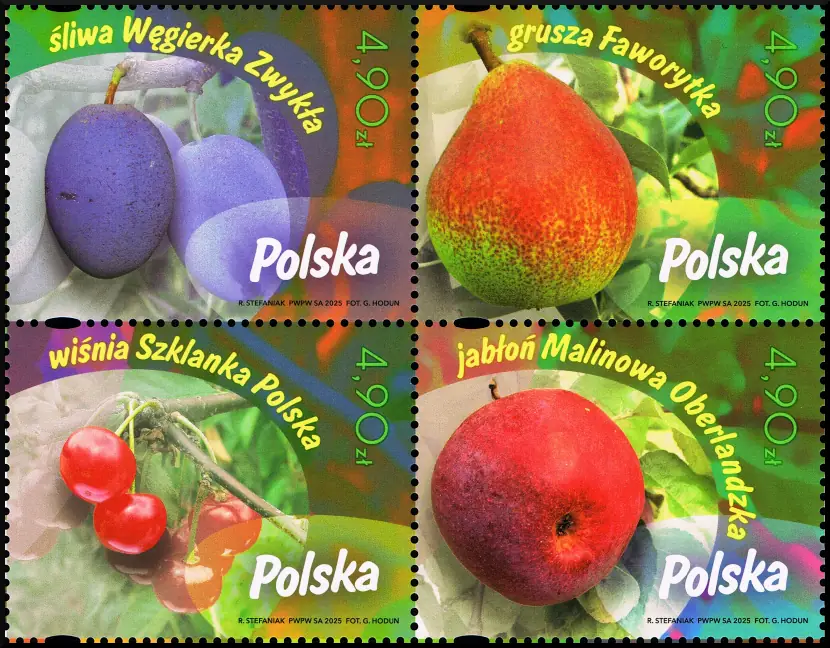 Owoce naszych sadów