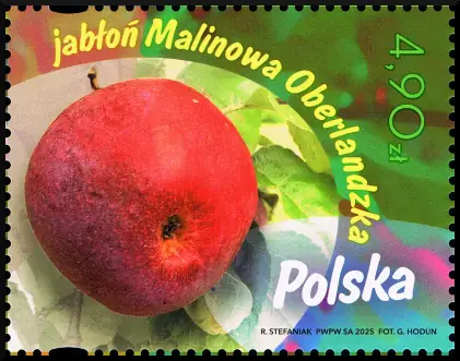 Owoce naszych sadów