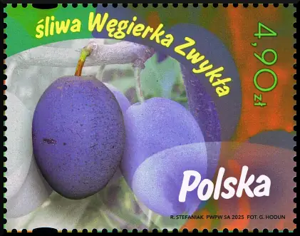 Owoce naszych sadów